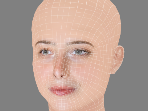Salome Richard Head - No Hair - Low poly head for game 3D 模型