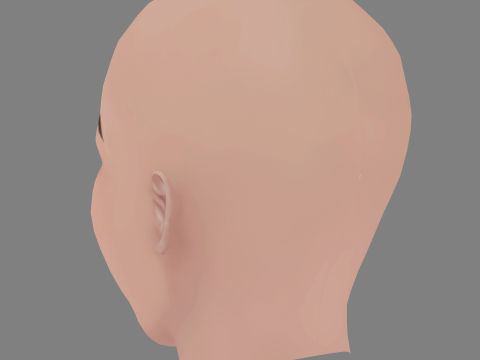 Sabrina Carpenter Head - No Hair - Low poly head for game 3D Model