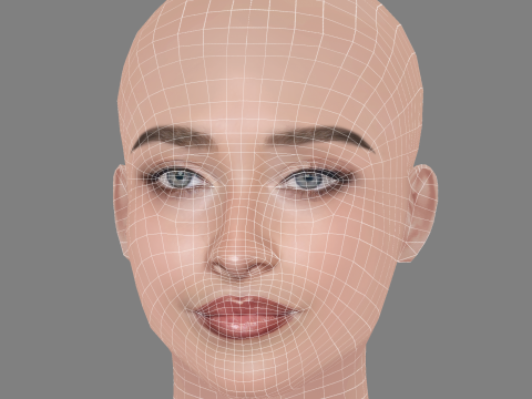 Sabrina Carpenter Head - No Hair - Low poly head for game 3D Model