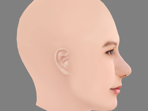 Ryan Simpkins Head - No Hair - Low poly head for game Modèle 3D