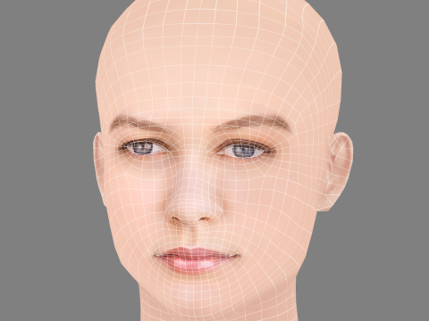 Ryan Simpkins Head - No Hair - Low poly head for game Modèle 3D