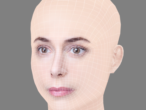 Ruth Diaz Head - No Hair - Low poly head for game 3D Model