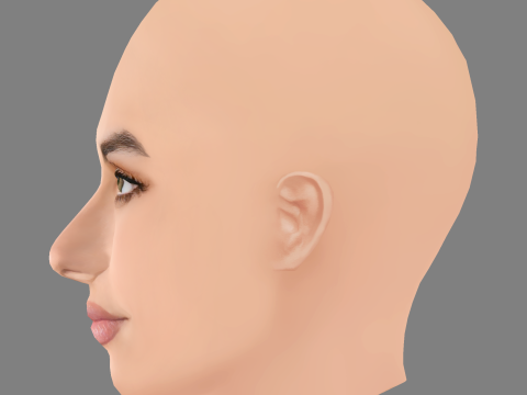 Renata Notni Head - No Hair - Low poly head for game 3D Model