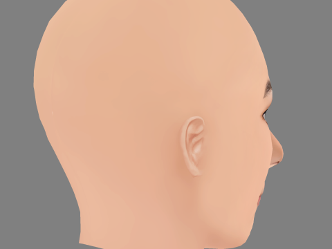 Renata Notni Head - No Hair - Low poly head for game 3D Model