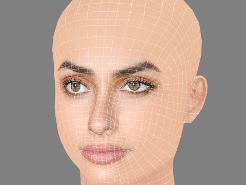Renata Notni Head - No Hair - Low poly head for game 3D Model