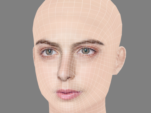 Regina Pavon Head - No Hair - Low poly head for game 3D 模型