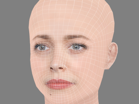 Rachel McAdams Head - No Hair - Low poly head for game Modèle 3D