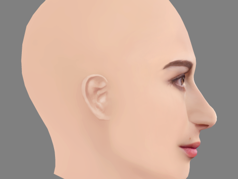Pilar Fogliati Head - No Hair - Low poly head for game 3D Model