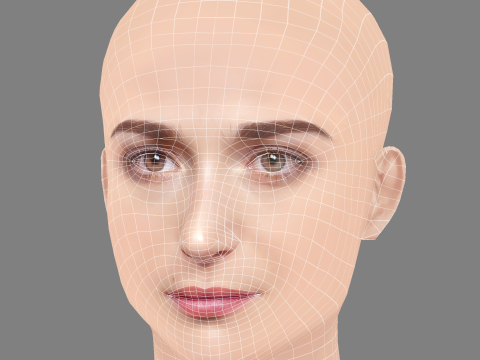 Pilar Fogliati Head - No Hair - Low poly head for game 3D Model