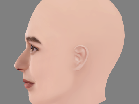 Paula Usero Head - No Hair - Low poly head for game 3D 모델