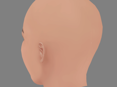 Paloma Bernardi Head - No Hair - Low poly head for game 3D-Modell