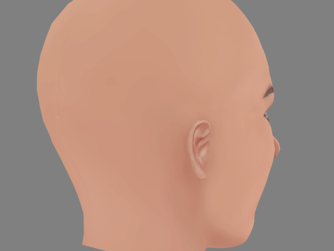 Paloma Bernardi Head - No Hair - Low poly head for game 3D-Modell