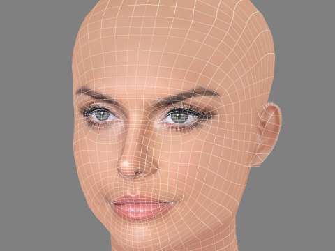 Paloma Bernardi Head - No Hair - Low poly head for game 3D-Modell