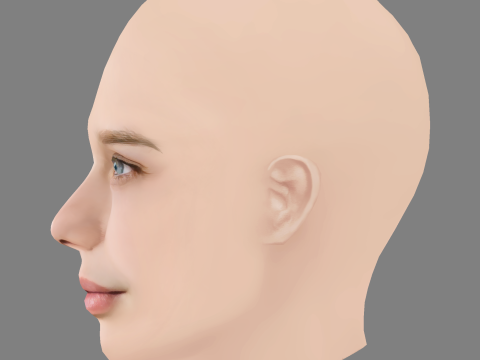 Niamh Wilson Head - No Hair - Low poly head for game Modello 3D