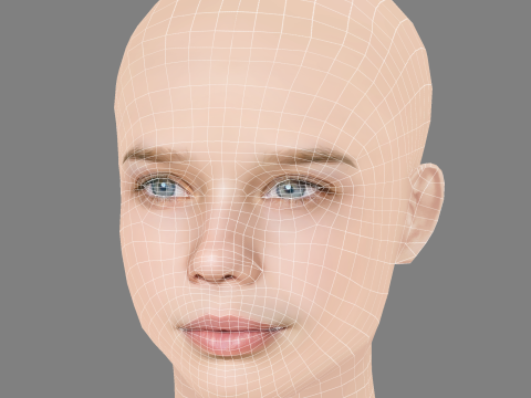 Niamh Wilson Head - No Hair - Low poly head for game Modello 3D