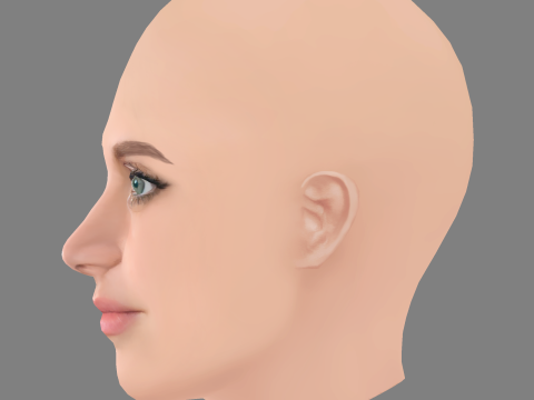Nell Tiger Free Head - No Hair - Low poly head for game Modelo 3D