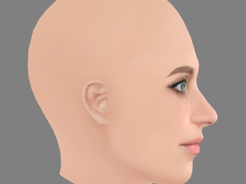 Nell Tiger Free Head - No Hair - Low poly head for game Modelo 3D