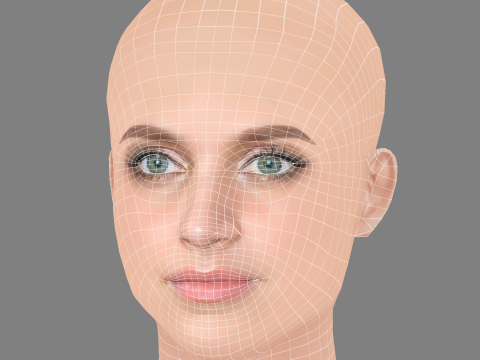 Nell Tiger Free Head - No Hair - Low poly head for game Modelo 3D