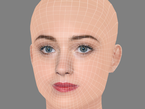 Natalia Dyer Head - No Hair - Low poly head for game 3D Модель