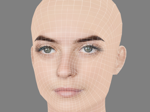 Millie Gibson Head - No Hair - Low poly head for game 3D 模型
