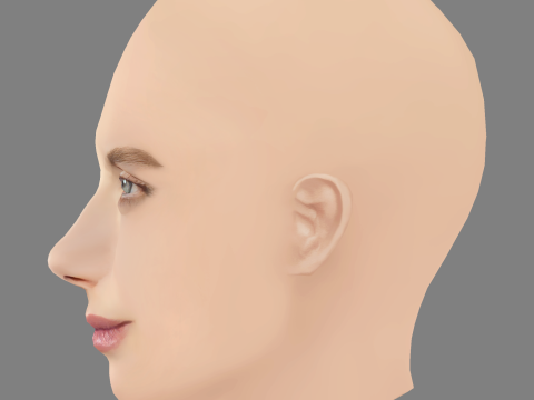 Melanie Laurent Head - No Hair - Low poly head for game Modello 3D