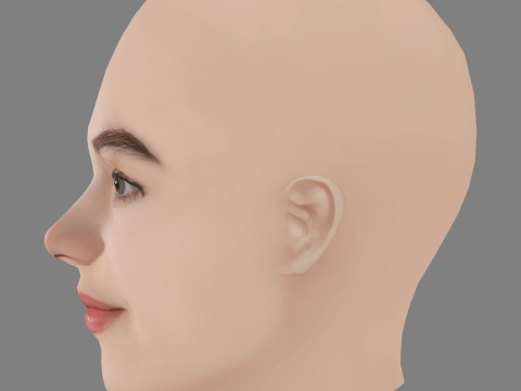 Megan Charpentier Head - No Hair - Low poly head for game Modelo 3D