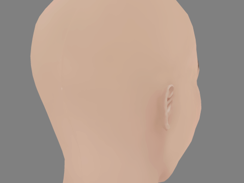 Megan Charpentier Head - No Hair - Low poly head for game Modelo 3D