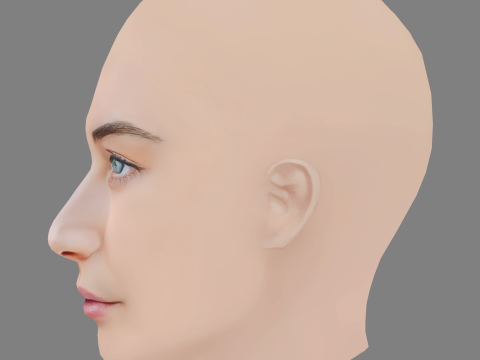 Mavournee Hazel Head - No Hair - Low poly head for game Model 3D