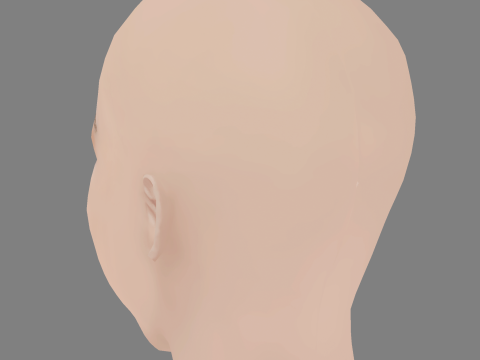 Mavournee Hazel Head - No Hair - Low poly head for game Model 3D