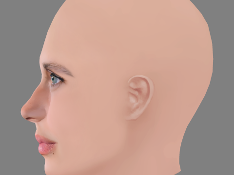 Marine Vacth Head - No Hair - Low poly head for game 3D 模型