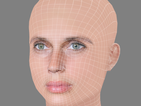 Marine Vacth Head - No Hair - Low poly head for game 3D 模型