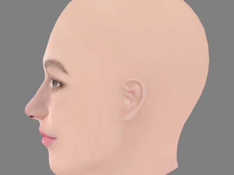 Madison Lintz Head - No Hair - Low poly head for game 3D Модель