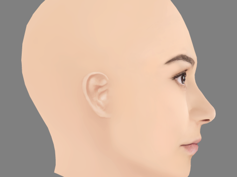 Madison Cheeatow Head - No Hair - Low poly head for game Model 3D