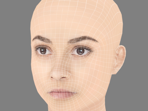 Madison Cheeatow Head - No Hair - Low poly head for game Model 3D