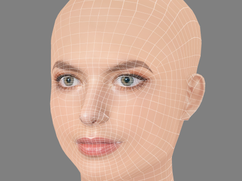 Lyliana Wray Head - No Hair - Low poly head for game 3D Модель