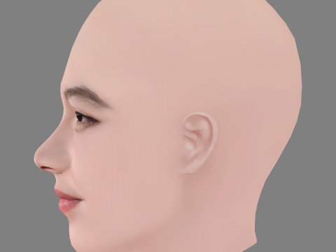 Lucie Zhang Head - No Hair - Low poly head for game 3D Model