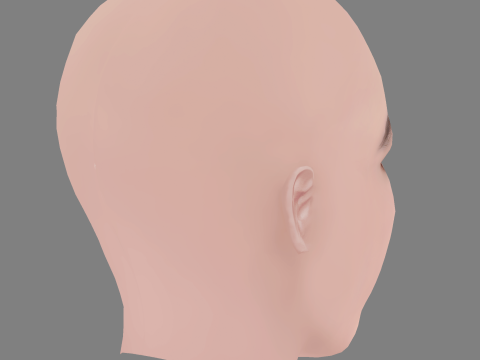 Lucie Zhang Head - No Hair - Low poly head for game 3D Model