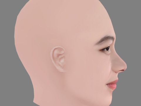 Lucie Zhang Head - No Hair - Low poly head for game 3D Model