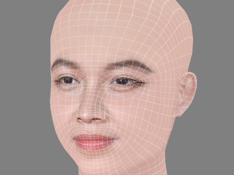 Lucie Zhang Head - No Hair - Low poly head for game 3D Model
