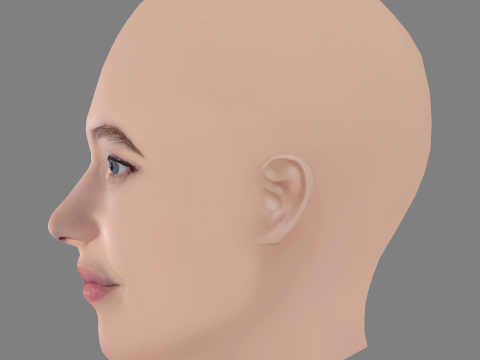 Lou de Laage Head - No Hair - Low poly head for game Modelo 3D