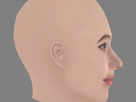 Lou de Laage Head - No Hair - Low poly head for game Modelo 3D