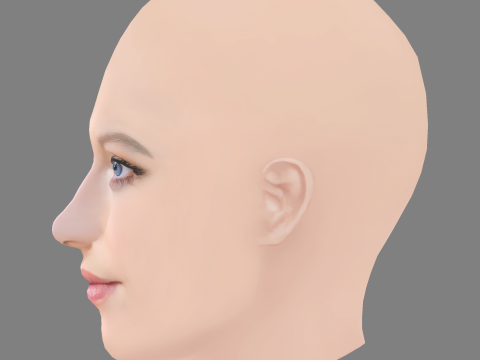Lily Travers Head - No Hair - Low poly head for game 3D Model