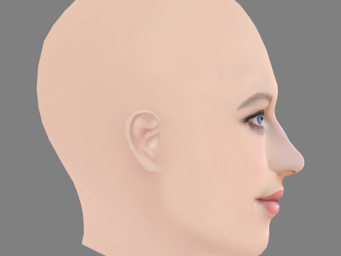 Lily Travers Head - No Hair - Low poly head for game 3D Model