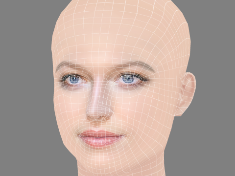 Lily Travers Head - No Hair - Low poly head for game 3D Model