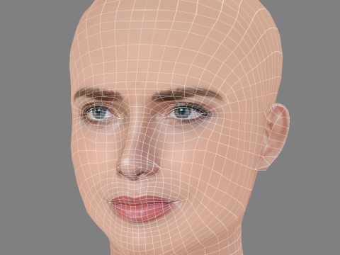 Leticia Colin Head - No Hair - Low poly head for game Model 3D