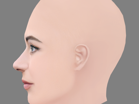 Lara McDonnell Head - No Hair - Low poly head for game 3D Model