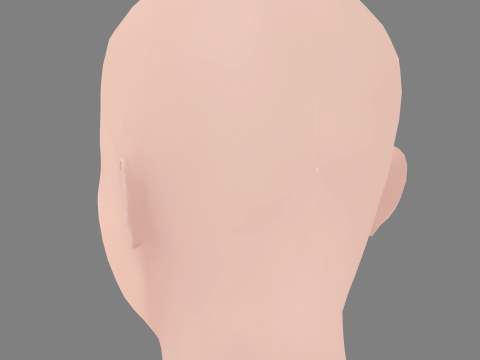 Lara McDonnell Head - No Hair - Low poly head for game 3D Model