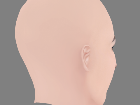 Lara McDonnell Head - No Hair - Low poly head for game 3D Model