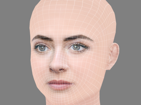 Lara McDonnell Head - No Hair - Low poly head for game 3D Model