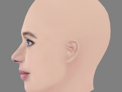 Laetitia Dosch Head - No Hair - Low poly head for game 3D Model